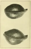 An illustration from Congo : revue générale de la Colonie belge = Congo : Algemeen tiidschrift van de Belgische Kolonje (1920)