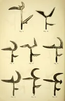 An illustration from Congo : revue générale de la Colonie belge = Congo : Algemeen tiidschrift van de Belgische Kolonje (1920)