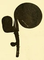 An illustration from Congo : revue générale de la Colonie belge = Congo : Algemeen tiidschrift van de Belgische Kolonje (1920)