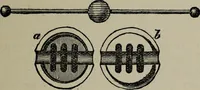 An illustration from Conjuring tricks with coins, watches, rings and handkerchiefs; from "Modern magic" (1900)