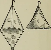 An illustration from Conjuring tricks with coins, watches, rings and handkerchiefs; from "Modern magic" (1900)