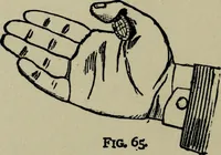An illustration from Conjuring tricks with coins, watches, rings and handkerchiefs; from "Modern magic" (1900)