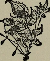 An illustration from Conjuring tricks with coins, watches, rings and handkerchiefs; from "Modern magic" (1900)
