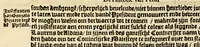An illustration from Conqueste van Indien. : De wonderlijcke ende warachtighe historie vant coninckrijck van Peru, gheleghen in Indien, inde welcke verhaelt wordt de gelegentheydt, costuymen, manieren van leuen, ouervloedicheyt des gouts ende siluers, ende voorts alle de sonderlingste dinghen vanden seluen lande. Insgelijcks vanden steden, plaetsen ende inwoonders desselfs coninckrijcx, daer beneue[n] hoet gevonden ende eerst by de keyserlijcke mayesteyt hoochloflijcker memorien gheconquesteert ende vercreghen is, met alle de oorlogen ende strijden die ghebuert [sic] zijn, soo teghens d'Indianen als oock om tgoevernement d'een teghens den anderen (1596)