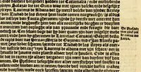 An illustration from Conqueste van Indien. : De wonderlijcke ende warachtighe historie vant coninckrijck van Peru, gheleghen in Indien, inde welcke verhaelt wordt de gelegentheydt, costuymen, manieren van leuen, ouervloedicheyt des gouts ende siluers, ende voorts alle de sonderlingste dinghen vanden seluen lande. Insgelijcks vanden steden, plaetsen ende inwoonders desselfs coninckrijcx, daer beneue[n] hoet gevonden ende eerst by de keyserlijcke mayesteyt hoochloflijcker memorien gheconquesteert ende vercreghen is, met alle de oorlogen ende strijden die ghebuert [sic] zijn, soo teghens d'Indianen als oock om tgoevernement d'een teghens den anderen (1596)