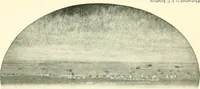 An illustration from The conquest of the Missouri; being the story of the life and exploits of Captain Grant Marsh (1909)