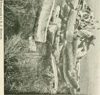An illustration from The conquest of the Missouri; being the story of the life and exploits of Captain Grant Marsh (1909)