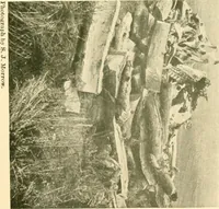 An illustration from The conquest of the Missouri; being the story of the life and exploits of Captain Grant Marsh (1909)