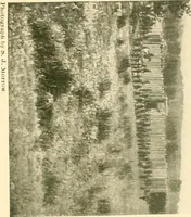 An illustration from The conquest of the Missouri; being the story of the life and exploits of Captain Grant Marsh (1909)