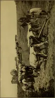 An illustration from The conquest of nature (1911)