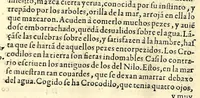 Picture 6 of 21 from Conquista de las islas Malucas. (1609), leaf 72