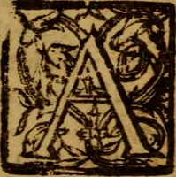 Picture 4 of 10 from Conscience with the power and cases thereof : (1639), leaf 64