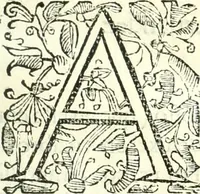 Picture 2 of 21 from [Conservación de monarqvias y discvrsos políticos sobre la gran consulta que el consejo hizo al Senor Rey don Filipe Tercero al presidente (1626), leaf 10