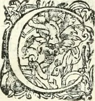 Picture 12 of 21 from [Conservación de monarqvias y discvrsos políticos sobre la gran consulta que el consejo hizo al Senor Rey don Filipe Tercero al presidente (1626), leaf 157