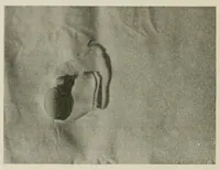 An illustration from The conservation of textiles (1921)