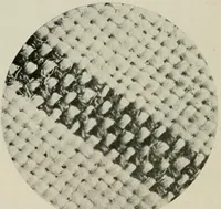 An illustration from The conservation of textiles (1921)