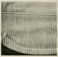 An illustration from The conservation of textiles (1921)
