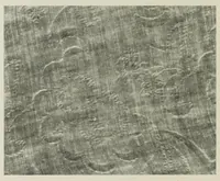 An illustration from The conservation of textiles (1921)