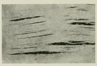 An illustration from The conservation of textiles (1921)