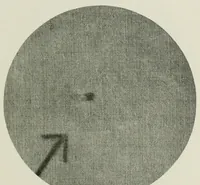 An illustration from The conservation of textiles (1921)