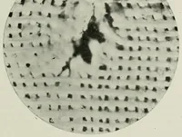 An illustration from The conservation of textiles (1921)