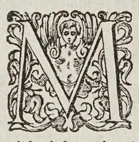 An illustration from Considerationi sopra la forza di alcvne ragioni fisicomattematiche : addotte dal M.R.P. Gio. Battista Riccioli ... nel suo Almagesto nuouo, & Astronomia riformata contro il sistema copernicano (1667)