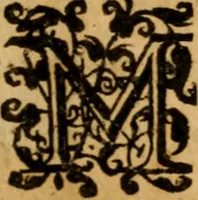 An illustration from Considerations sur les droits par lesquels la nature a reiglé les mariages (1648)