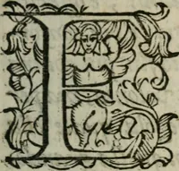 Picture 2 of 8 from Considerazioni d'Alimberto Mavri sopra alcvni lvoghi del Discorso di Lodouico delle Colombe intorno alla stella apparita 1604 (1606), leaf 8