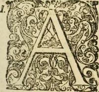 An illustration from Consiliorum. Studio & operâ collectorum .. (1649)