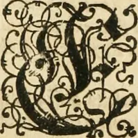 An illustration from Consiliorum. Studio & operâ collectorum .. (1649)