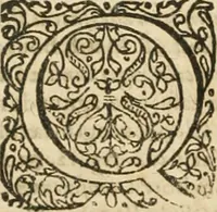 An illustration from Consiliorum. Studio & operâ collectorum .. (1649)