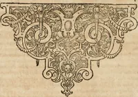 Picture 5 of 23 from Consiliorum. Studio & operâ collectorum .. (1649), leaf 29