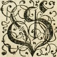 Picture 9 of 23 from Consiliorum. Studio & operâ collectorum .. (1649), leaf 378