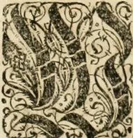 Picture 16 of 23 from Consiliorum. Studio & operâ collectorum .. (1649), leaf 862