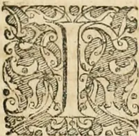Picture 18 of 23 from Consiliorum. Studio & operâ collectorum .. (1649), leaf 906