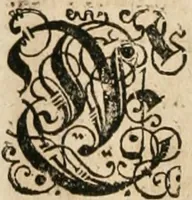 Picture 20 of 23 from Consiliorum. Studio & operâ collectorum .. (1649), leaf 993