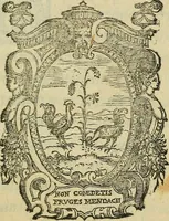 An illustration from Constantii Varolii medici Bononiensis De neruis opticis : nonnullisq[ue] aliis praeter communem opinionem in humano capite obseruatis .. (1573)