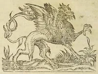 Picture 6 of 6 from Constantini Caesaris selectarum praeceptionum de agricultura libri uiginti (1541), leaf 372