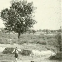 Picture 9 of 107 from Constantinople : ouvrage orné de 103 gravures (1906), leaf 24