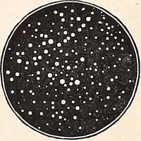 An illustration from The constellations and how to find them; 13 maps, showing the position of the constellations in the sky during each month of any year. A popular and simple guide to a knowledge of the starry heavens, with introduction, general explanations, and a separate description of each map (1887)