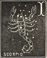 An illustration from The constellations and how to find them; 13 maps, showing the position of the constellations in the sky during each month of any year. A popular and simple guide to a knowledge of the starry heavens, with introduction, general explanations, and a separate description of each map (1887)