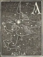 Picture 35 of 41 from The constellations and how to find them; 13 maps, showing the position of the constellations in the sky during each month of any year. A popular and simple guide to a knowledge of the starry heavens, with introduction, general explanations, and a separate description of each map (1887), leaf 51