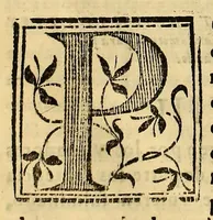 Picture 2 of 16 from Constituciones synodales del Arçobispado de los Reyes en el Piru. Hechas y ordenadas por el illustrissimo y reverendissimo señor don Bartholome Lobo Guerrero arçobispo de la dicha ciudad de los Reyes del Consejo de su Magestad. Y publicadas en la synodo diocesana que su señoria illustrissima celebro en la dicha ciudad en el año del Señor de 1613. (1614), leaf 80