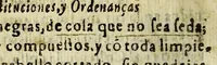 An illustration from Constituciones, y ordenanças del Collegio de San Iuan Evangelista desta Ciudad de los Angeles, : que fundo el bachiller Iuan Larios, beneficiado de Acatlan. (1644)