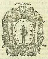 Picture 3 of 3 from Constitvciones, compiladas, hechas y ordenadas por Rodrigo de Castro (1591), leaf 164