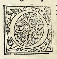 Picture 5 of 20 from Constitvicōes do arcebispado de Lisboa : assi as antigas como as extrauagantes primeyras & segundas (1588), leaf 16