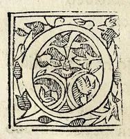 An illustration from Constitvicōes do arcebispado de Lisboa : assi as antigas como as extrauagantes primeyras & segundas (1588)