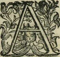 An illustration from Constitvtiones insignis, et cillegiatae ecclesiae Sancti Lavrentii Florent (1617)