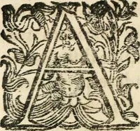 An illustration from Constitvtiones insignis, et cillegiatae ecclesiae Sancti Lavrentii Florent (1617)