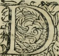 An illustration from Constitvtiones insignis, et cillegiatae ecclesiae Sancti Lavrentii Florent (1617)